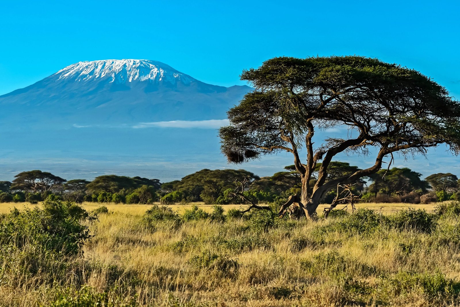 Kenya Tour Packages