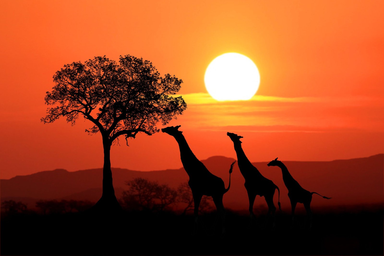 Book Kenya Trips - All Inclusive Trip Packages