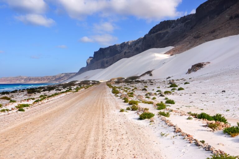 Socotra Tour Package