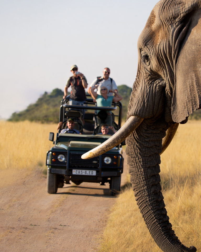 Book These Top Zanzibar Excursions Now. Part 2