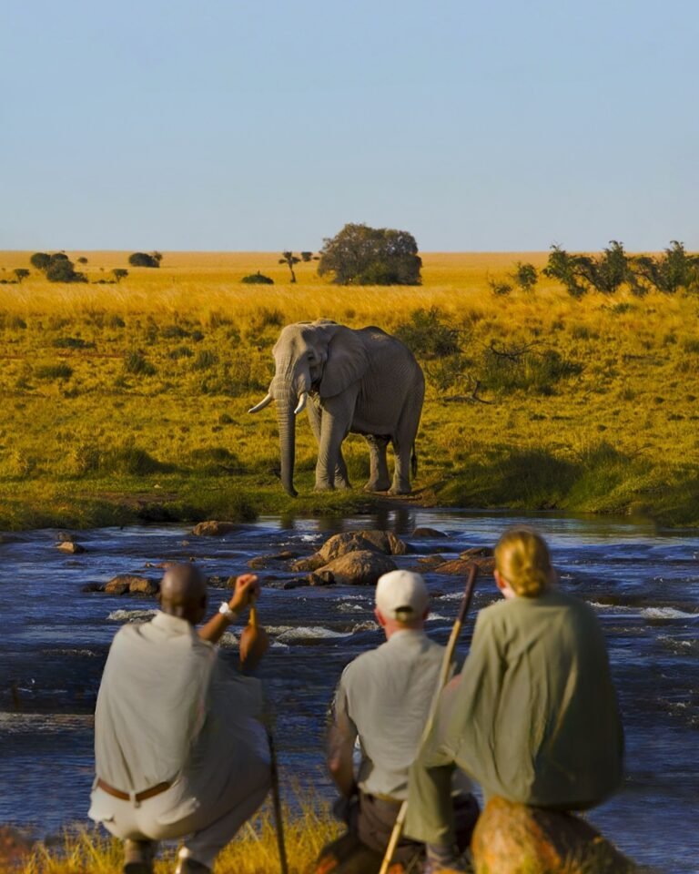 🌴 Unmissable Adventures in Zanzibar: Top Tours You Can’t Leave Without Experiencing​