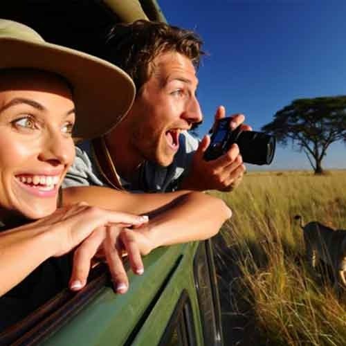 Best African Safari Tours for First-Time Travellers  | Where to Go & What to Expect