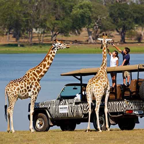 Selous vs. Mikumi: Which Safari is Best for Your Tanzania Adventure?