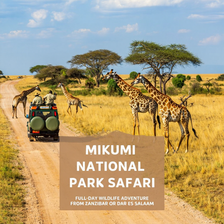 Explore Mikumi National Park on a full-day safari from Zanzibar or Dar es Salaam. Includes game drives, lunch, park fees, and hotel transfers.