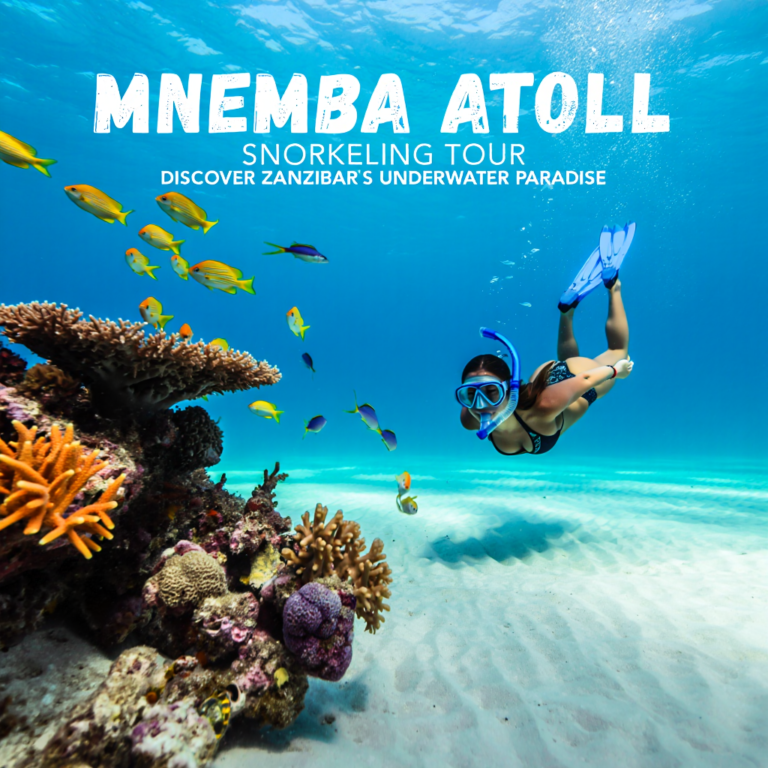 Mnemba Atoll Snorkeling Tour – Zanzibar Marine Adventure