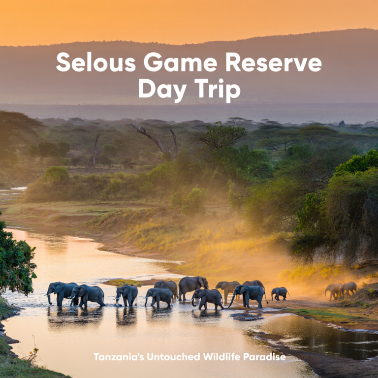 Experience a full-day safari in Selous Game Reserve from Zanzibar or Dar es Salaam. Includes return flight, game drive, lunch, and expert wildlife guide.