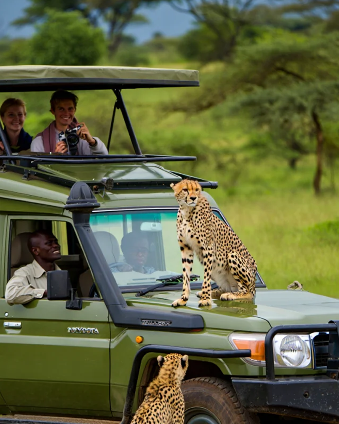 Top 10 Bucket-List Things to Do in the Masai Mara, Kenya