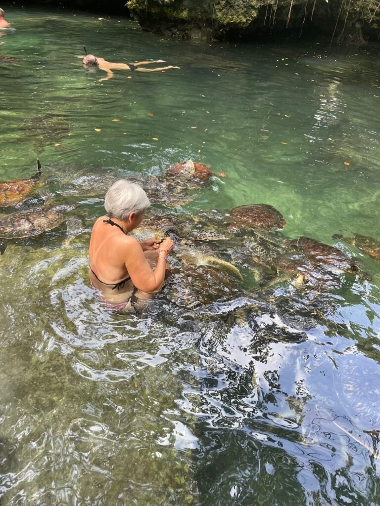 Africa travel updates Zanzibar tours 2025 African safari packages Triptrek monthly travel news East Africa travel deals Selous and Mikumi safari Best time to visit Masai Mara Zanzibar cultural tours Mnemba snorkeling tour
