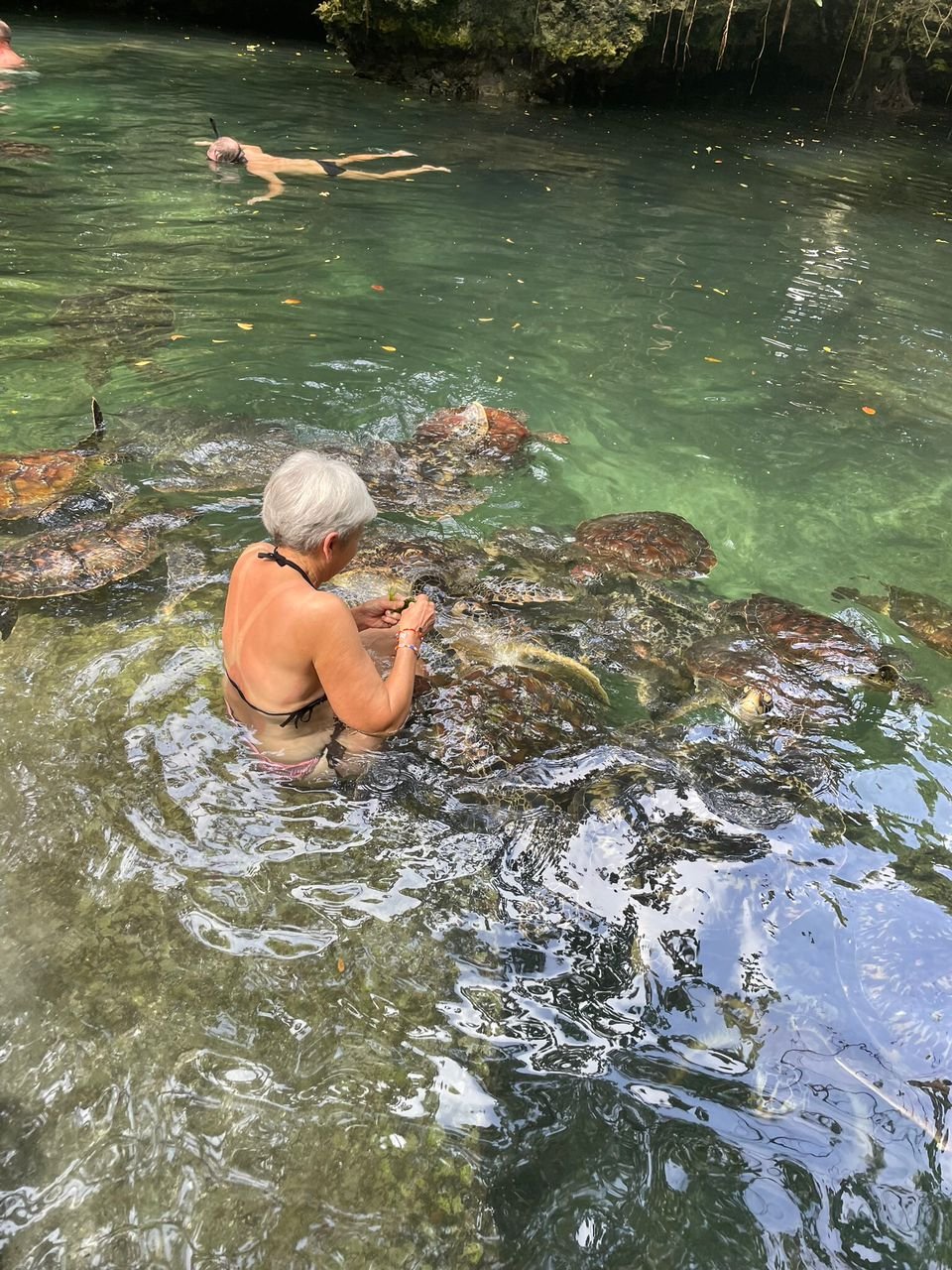 Africa travel updates Zanzibar tours 2025 African safari packages Triptrek monthly travel news East Africa travel deals Selous and Mikumi safari Best time to visit Masai Mara Zanzibar cultural tours Mnemba snorkeling tour
