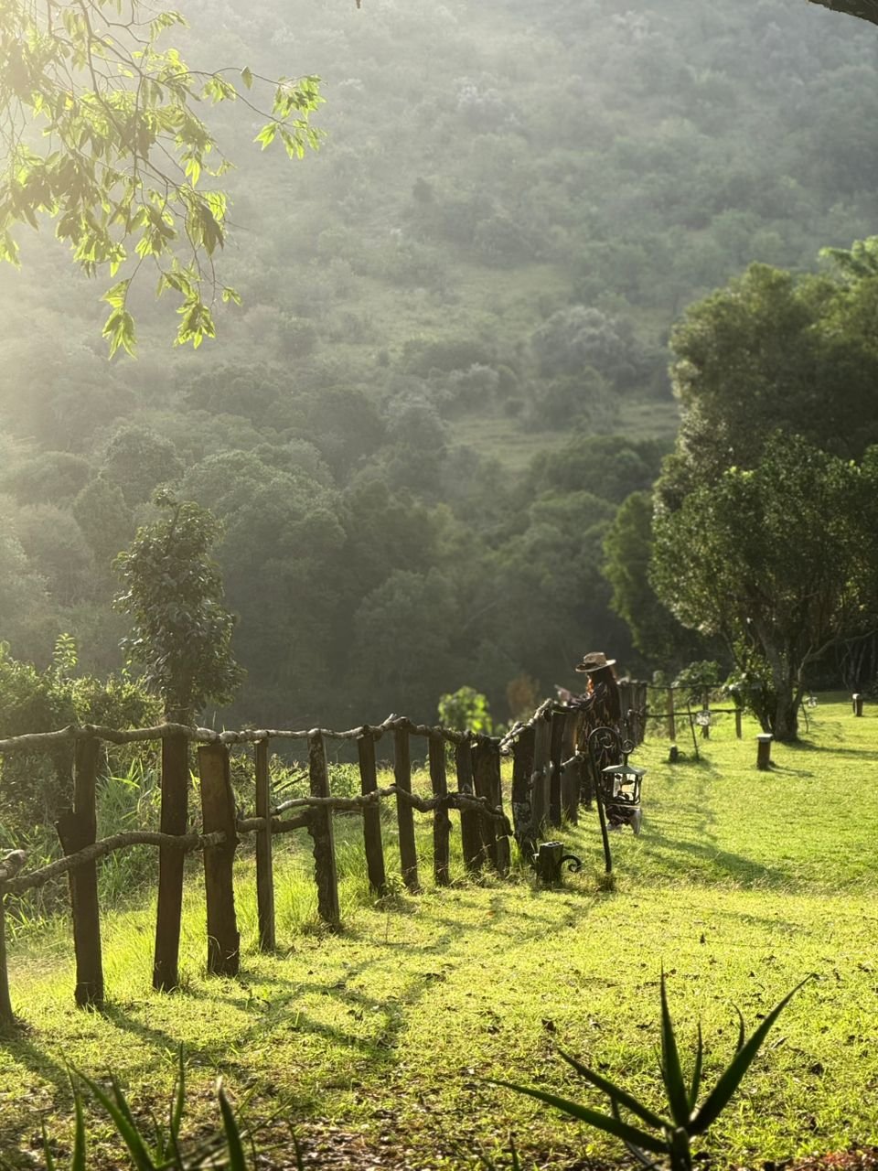Day 3: Full-Day Masai Mara Safari with Game Drives, Masai Village Visit & Walking Tour