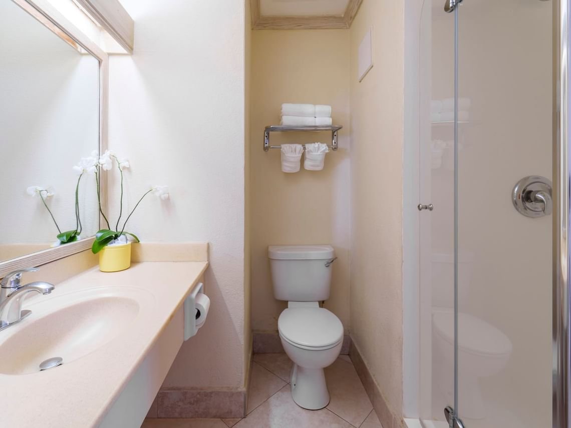garden-pool-view-bathroom_standard